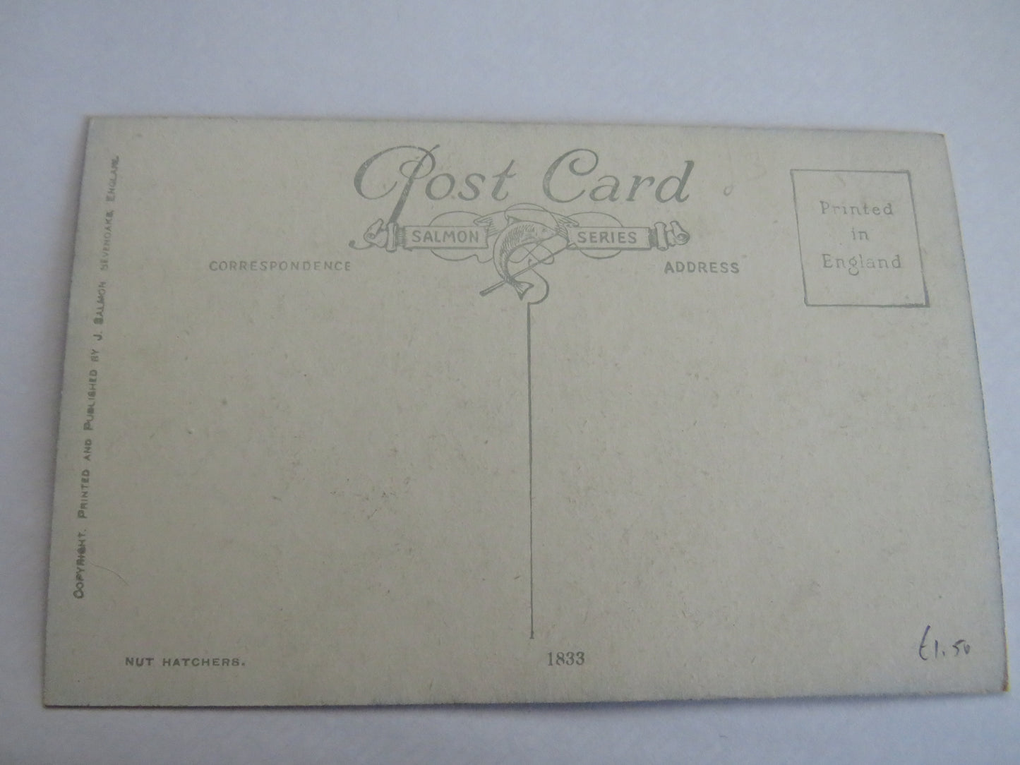 Vintage Bird Postcard Of "Nut Hatchers"