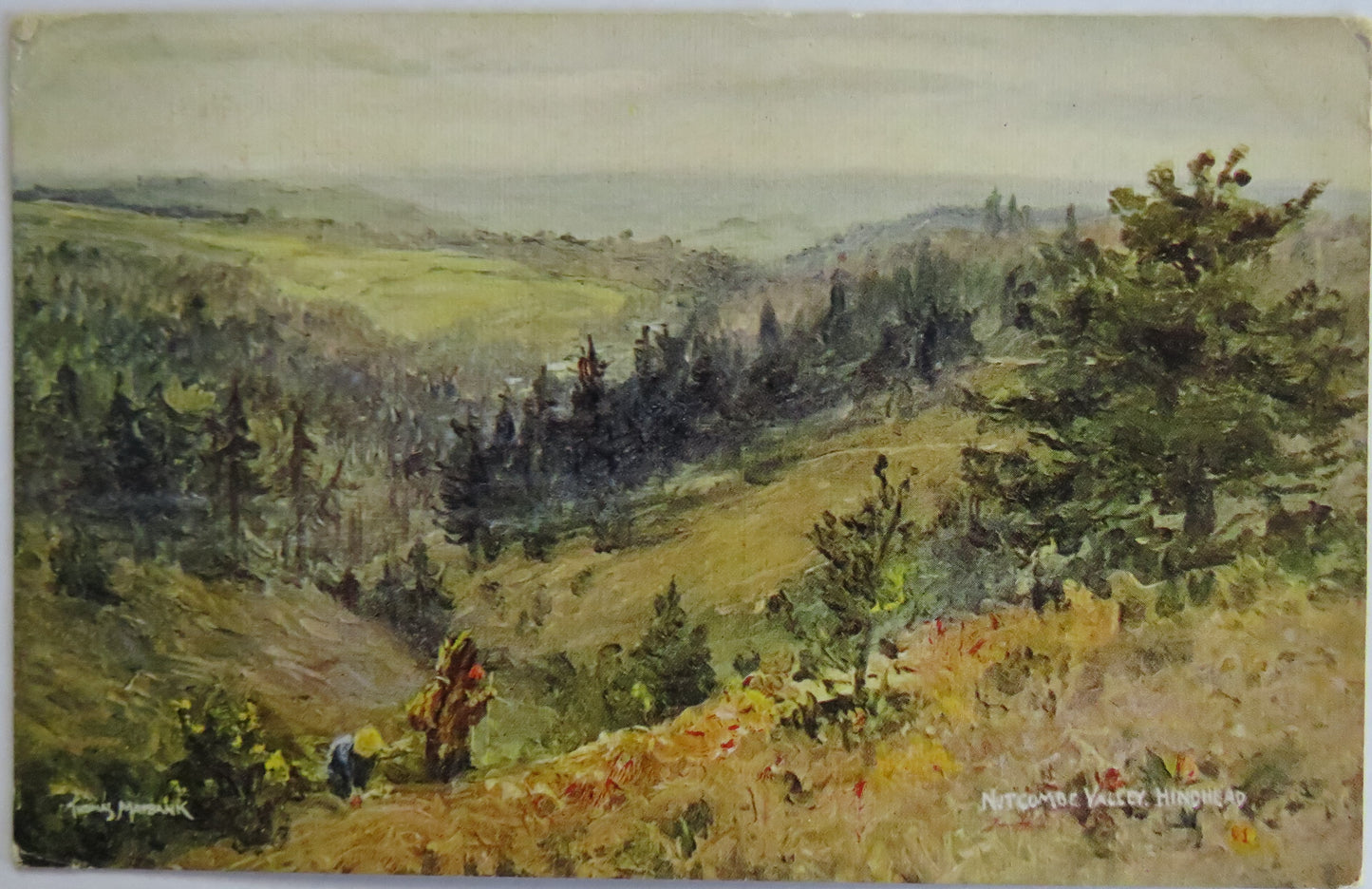 Vintage Postcard of Nutcombe Valley, Hindhead 1908