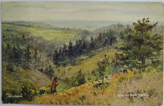 Vintage Postcard of Nutcombe Valley, Hindhead 1908