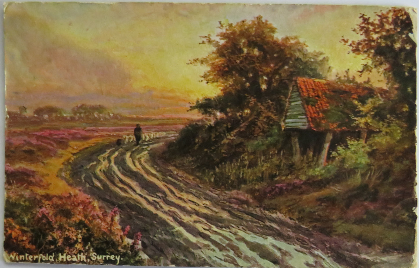 Antique Postcard of Winterfold Heath, Surrey