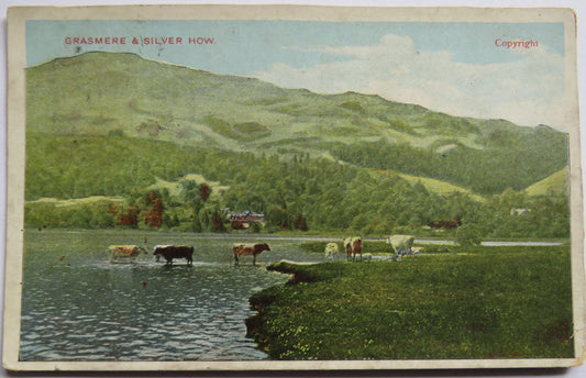 Vintage Postcard of Grasmere & Silver How 1906