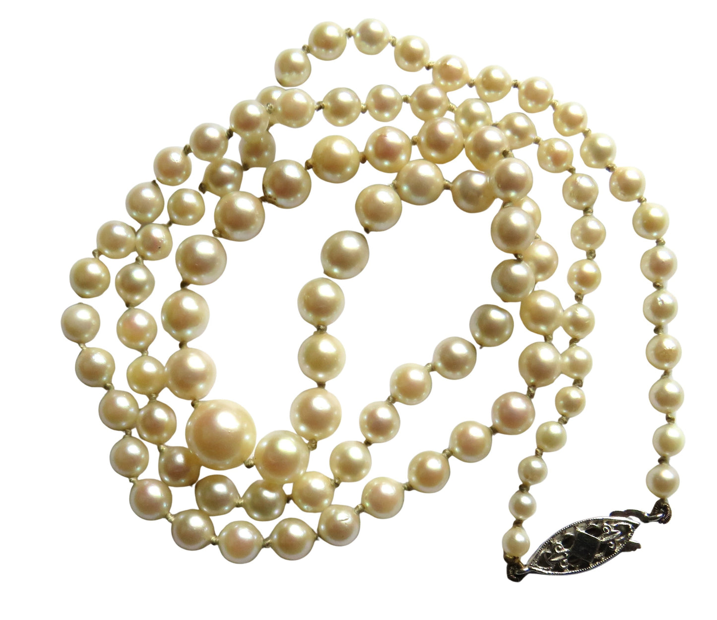 A Quality Ladies Graduated Cultured Pearl Necklace With 9ct White Gold Clasp