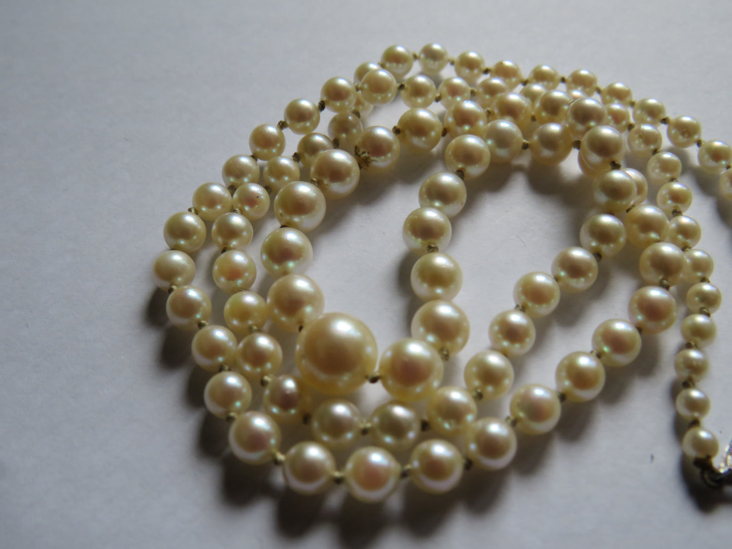 A Quality Ladies Graduated Cultured Pearl Necklace With 9ct White Gold Clasp