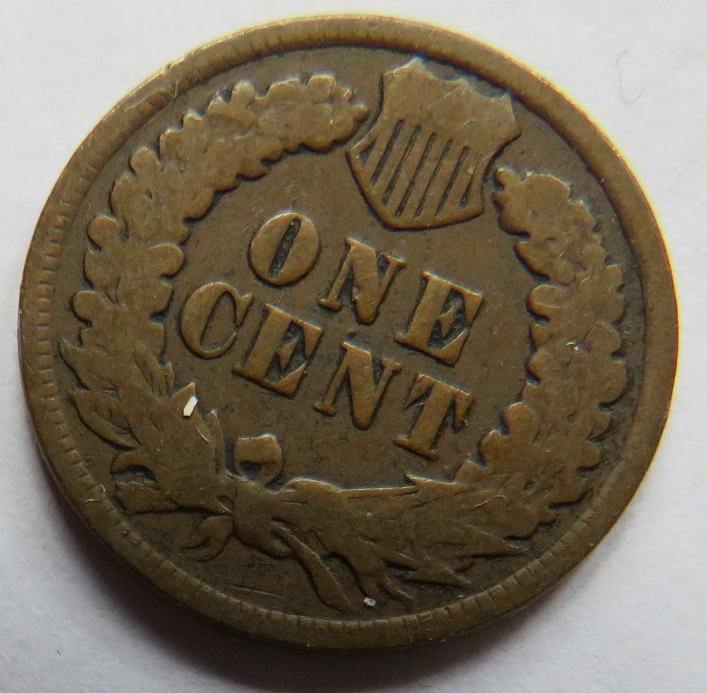 1901 USA Indian Head One Cent Coin