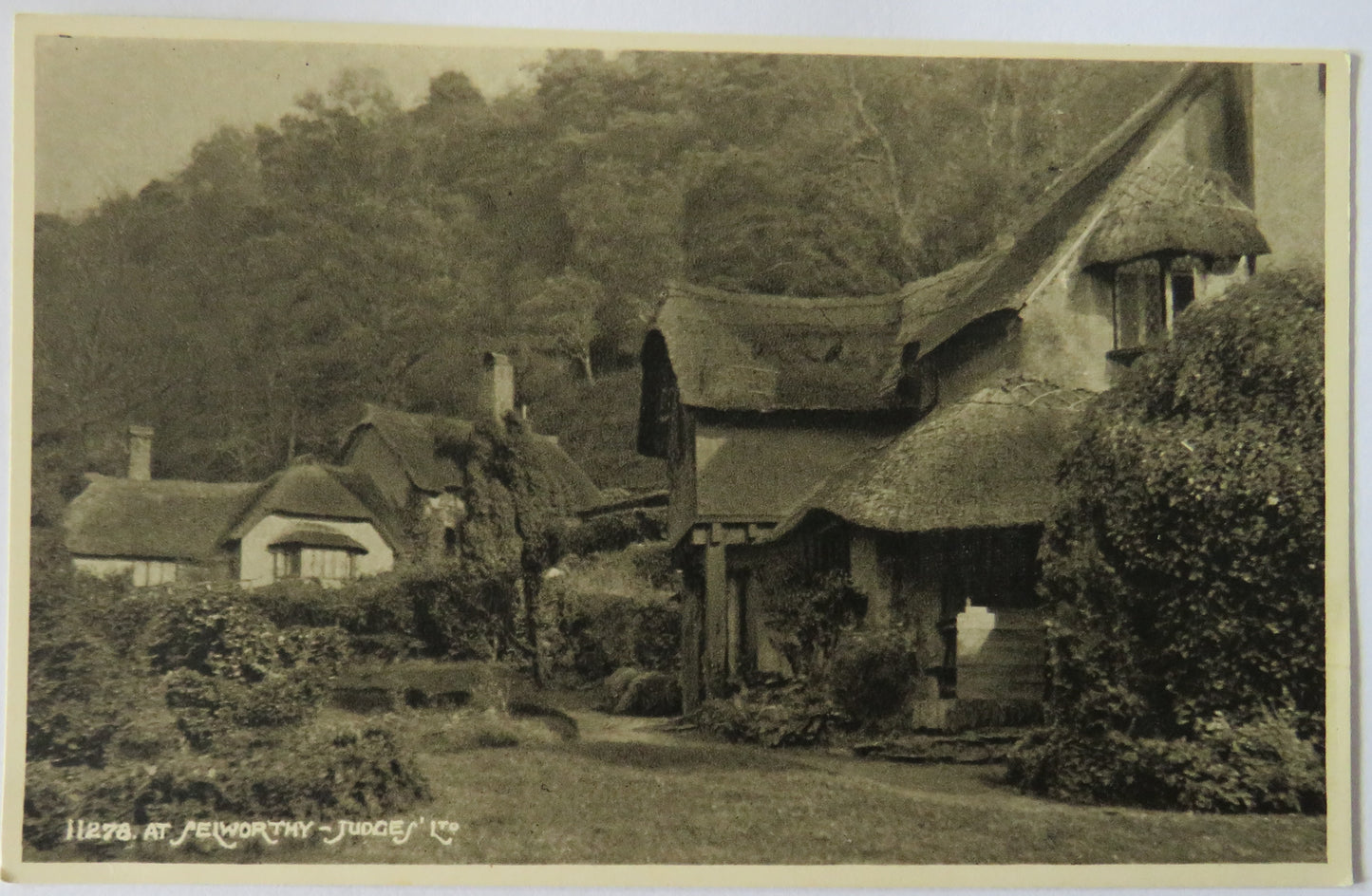 Vintage Postcard of At Selworthy - Judges