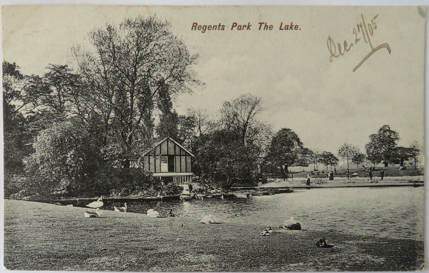 Vintage Postcard of Regents Park, The Lake, London