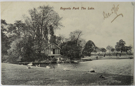 Vintage Postcard of Regents Park, The Lake, London