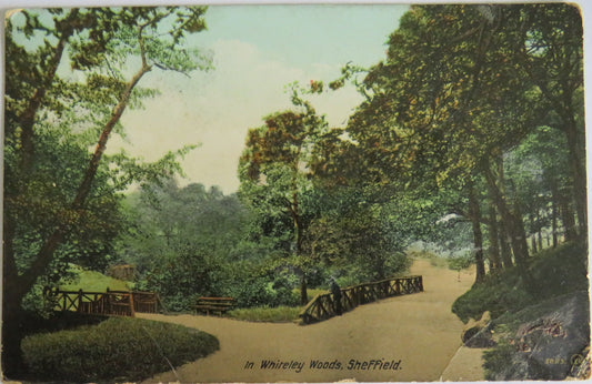 Vintage Postcard of In Whiteley Woods, Sheffield 1913