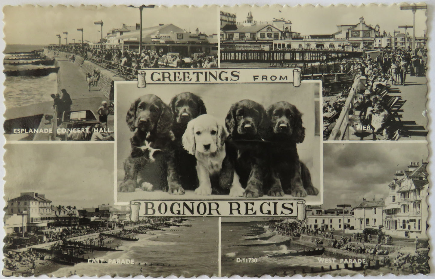 Vintage Postcard of Greetings from Bognor Regis, 1958