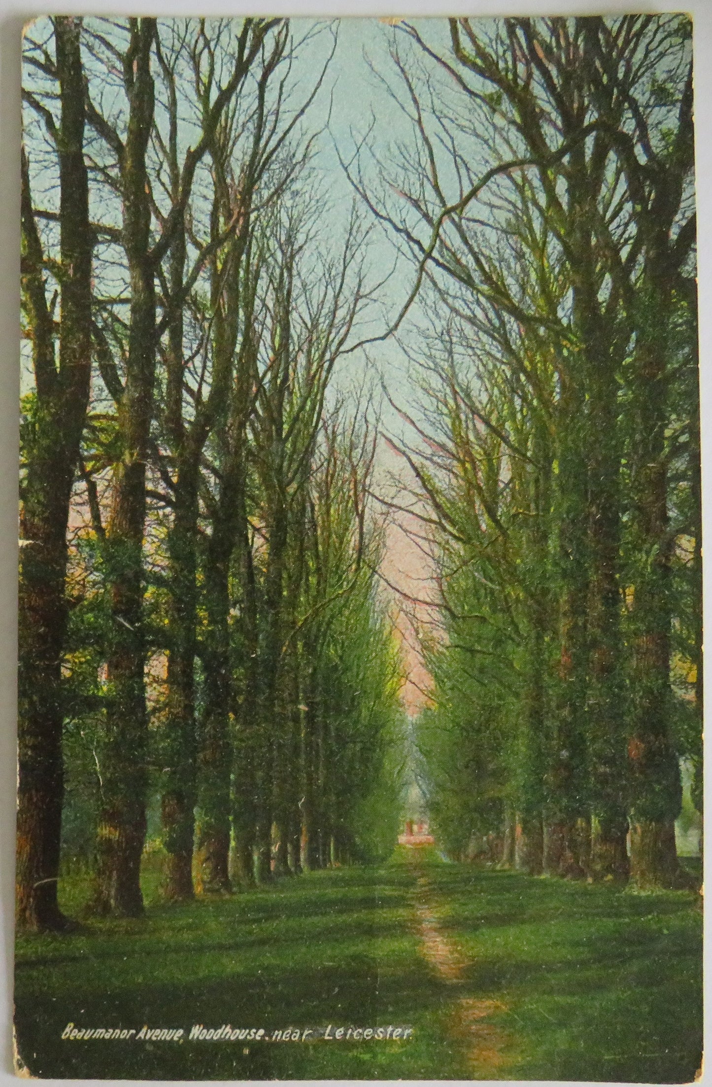 Vintage Postcard of Woodhouse Near Leicester 1907