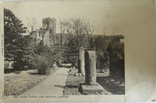 Vintage Postcard of The Water Tower and Grounds Chester 1904