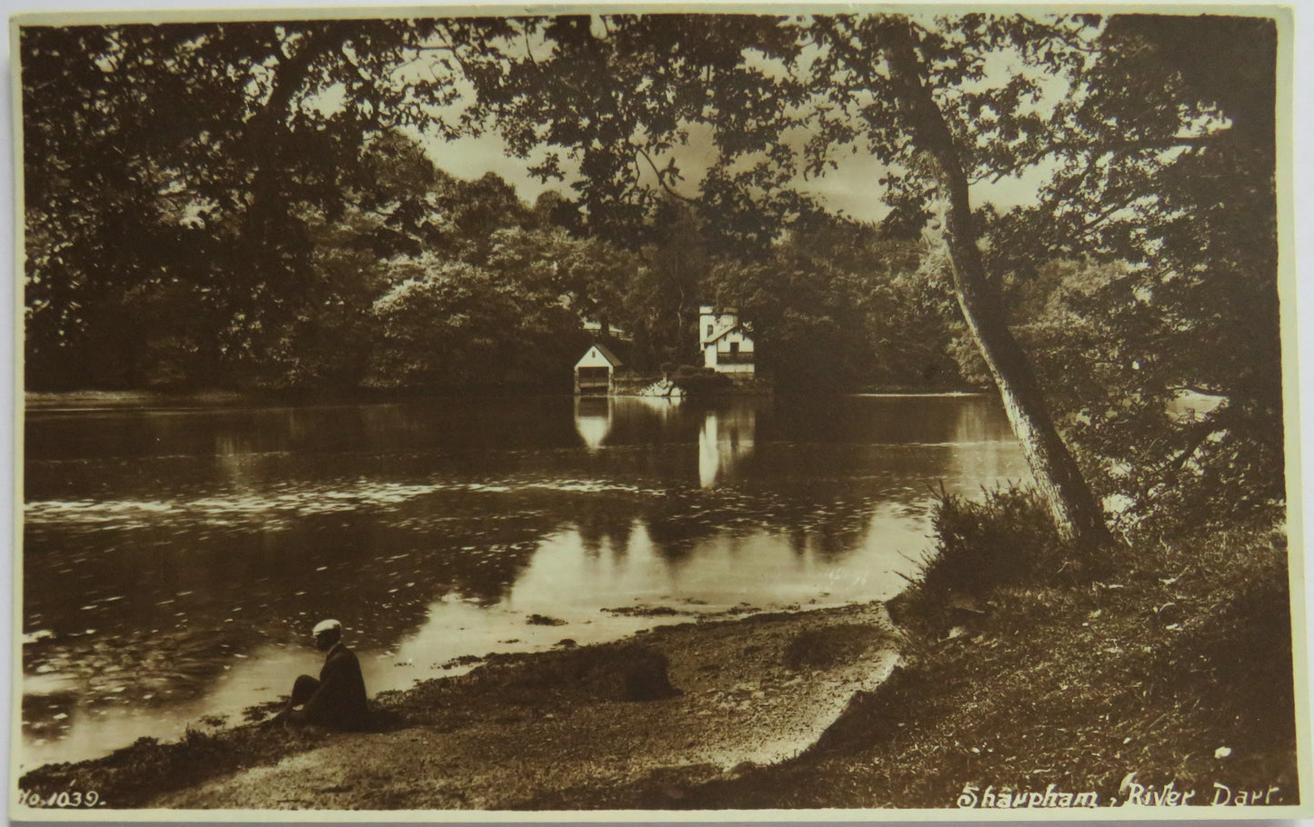Vintage Postcard of Sharpham, River Dart