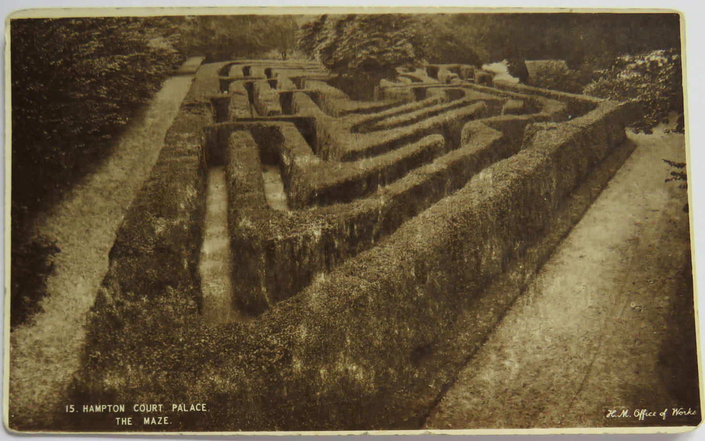 Vintage Postcard of Hampton Court Palace, The Maze