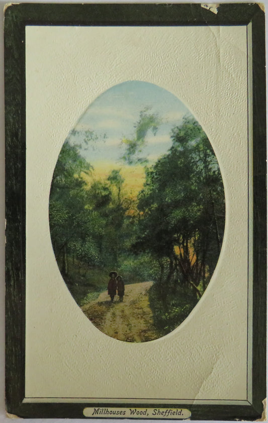 Vintage Postcard Of Millhouses Wood, Sheffield