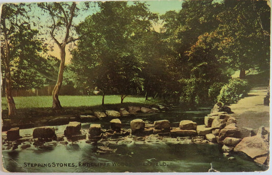 Vintage Postcard Of Stepping Stones, Endcliffe Woods, Sheffield