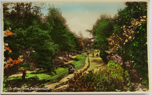 Vintage Postcard of In Alum Chine, Bournemouth