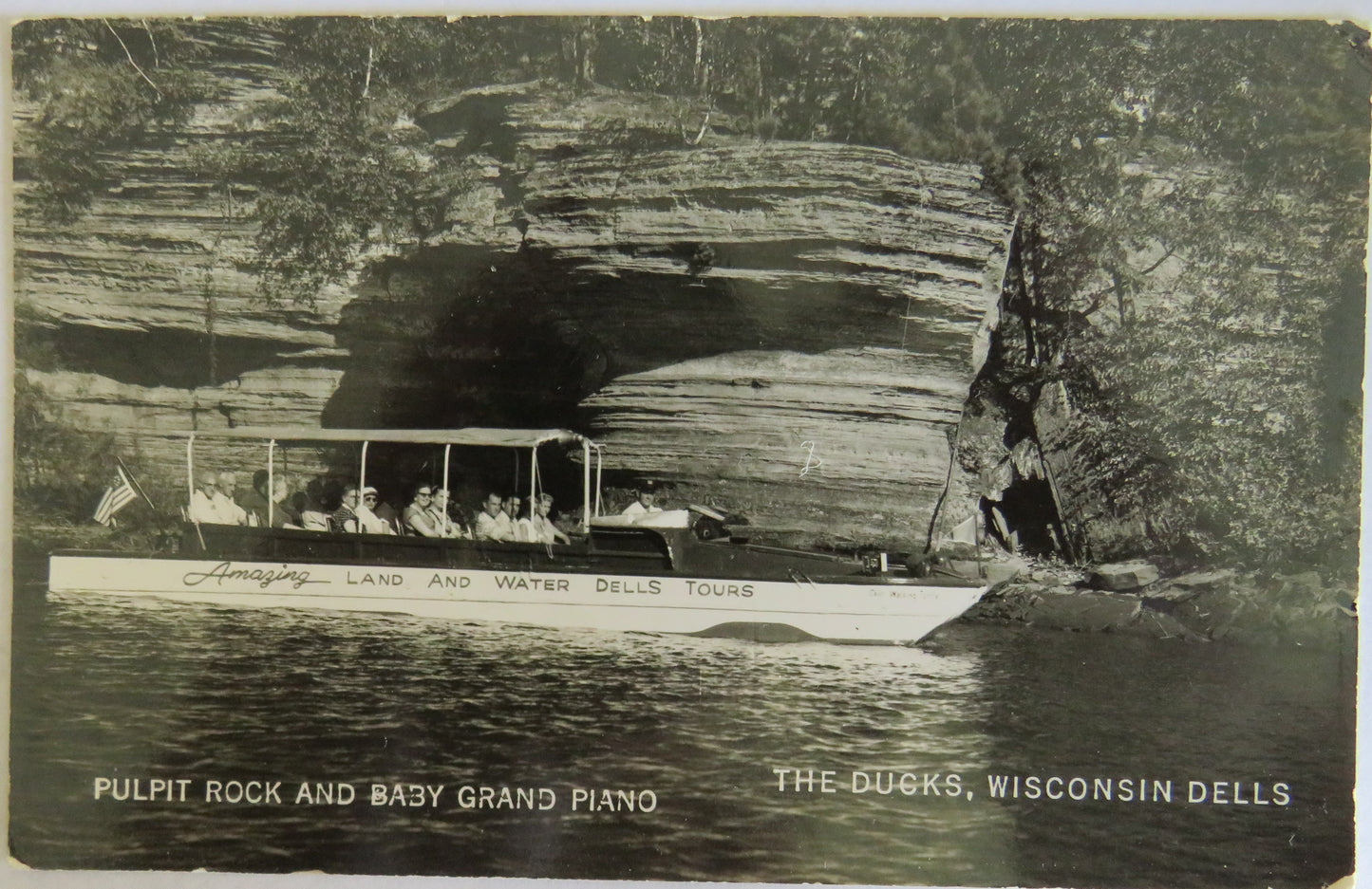 Vintage Postcard Of The Ducks, Wisconsin Dells