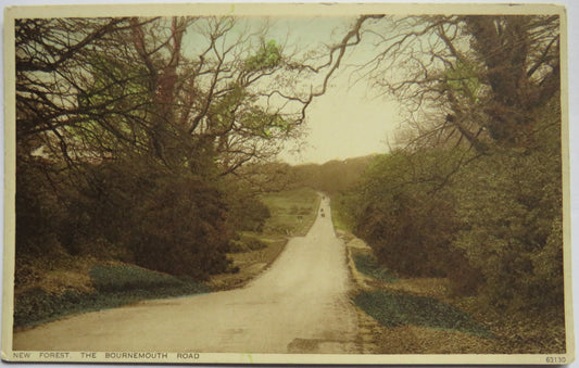Vintage Postcard of New Forest, The Bournemouth Road