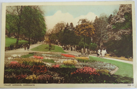 Vintage Postcard The Valley Gardens, Harrogate 1951
