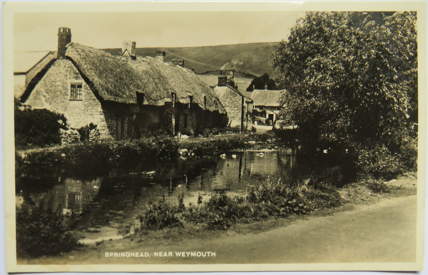 Vintage Postcard of Springhead, near Weymouth