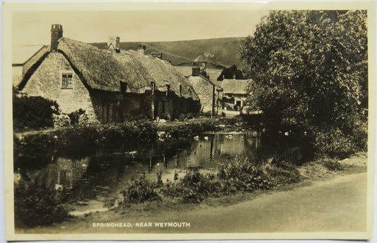 Vintage Postcard of Springhead, near Weymouth