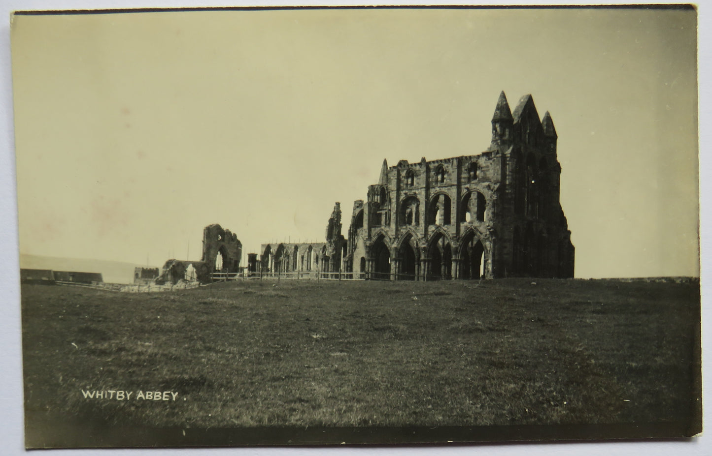 Vintage Postcard of Whitby Abbey
