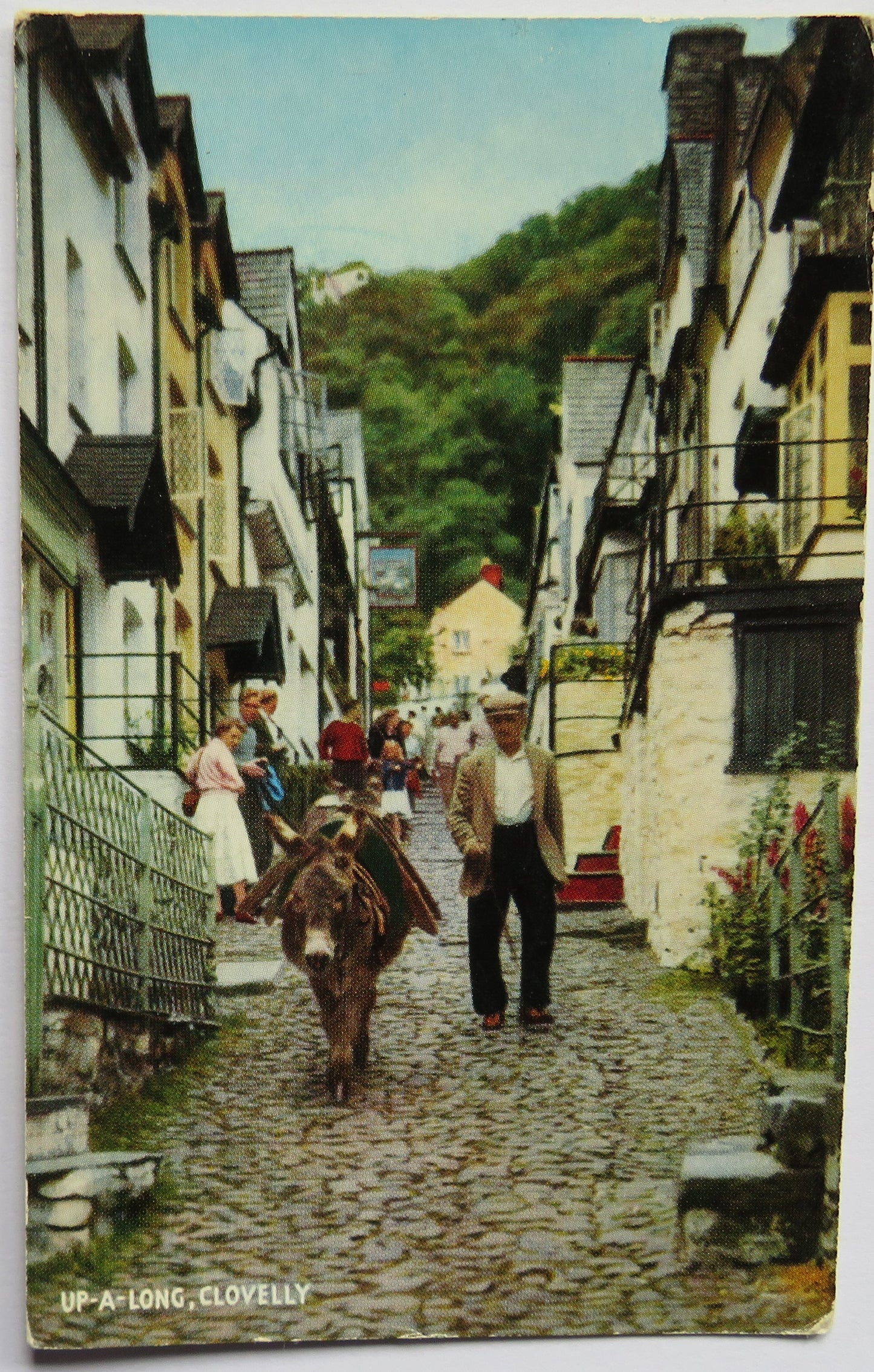 Vintage Postcard of Up-A-Long, Clovelly, 1961