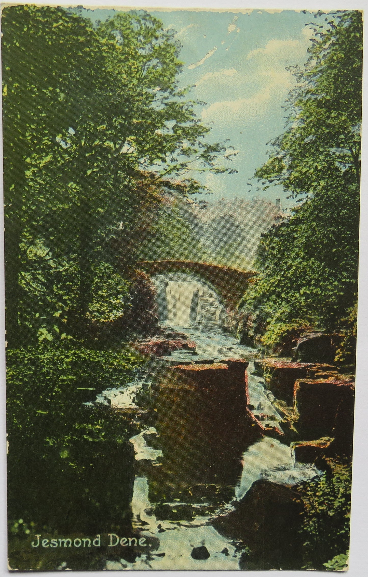 Vintage Postcard of Jesmond Dene