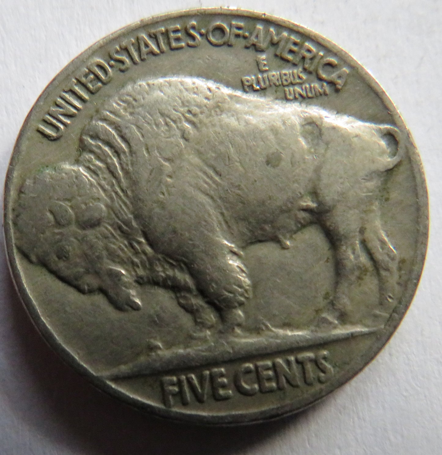 1936 USA Buffalo Nickel Coin