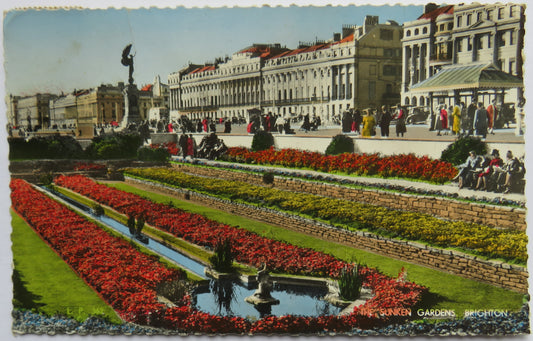 Vintage Postcard of The Sunken Gardens, Brighton, 1982