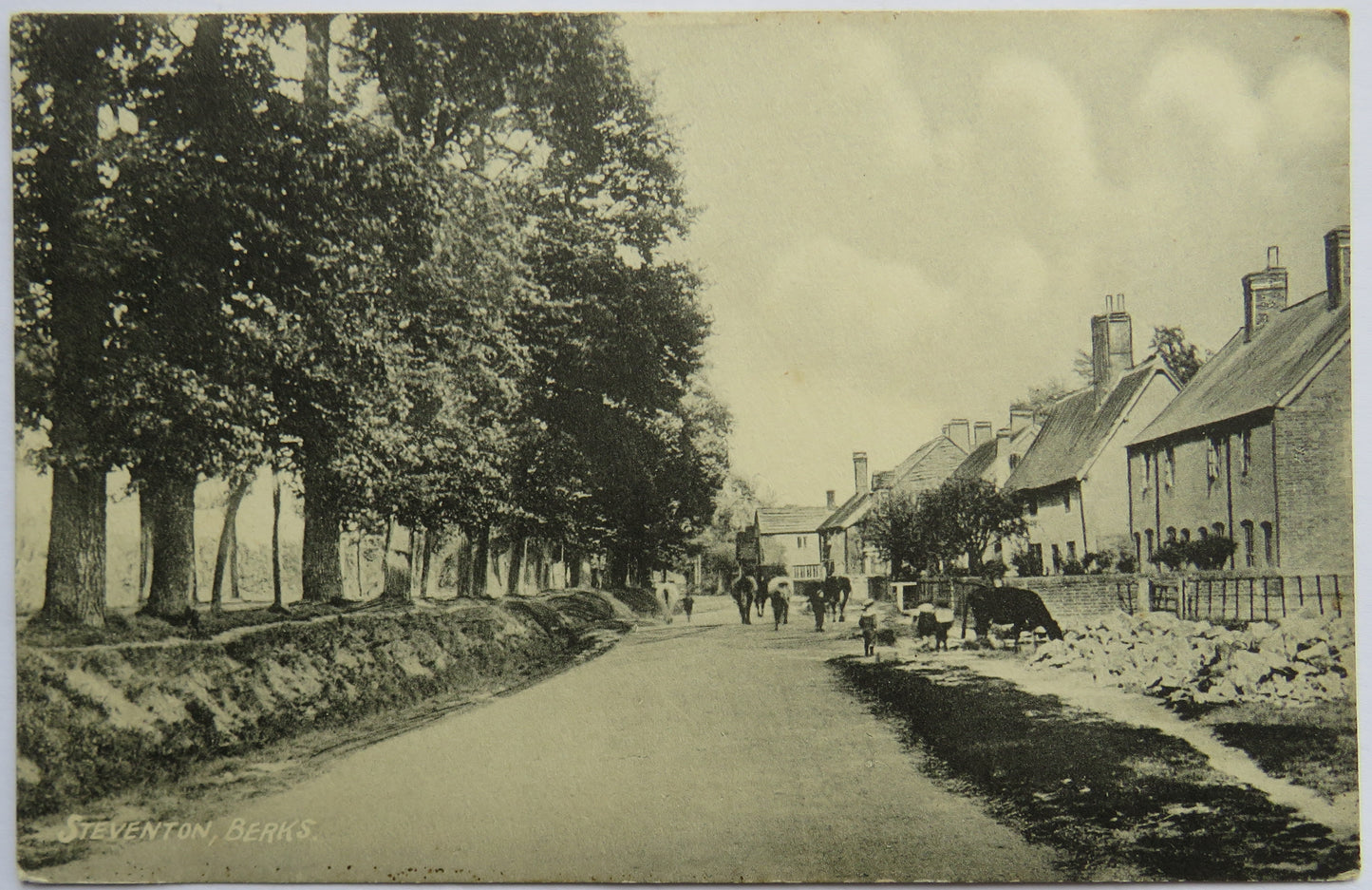Vintage Postcard of Steventon, Berks