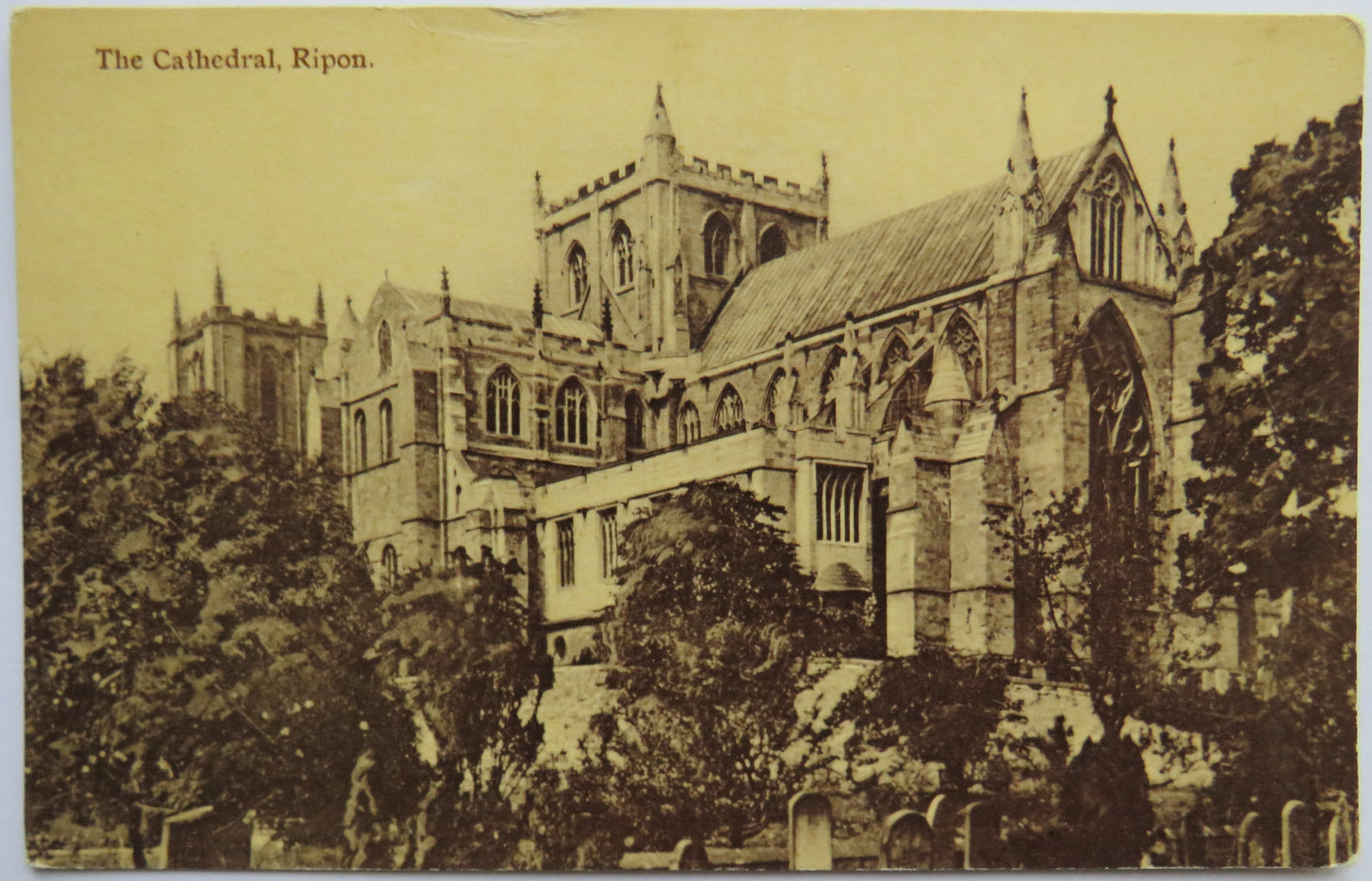 Vintage Postcard of The Cathedral, Ripon