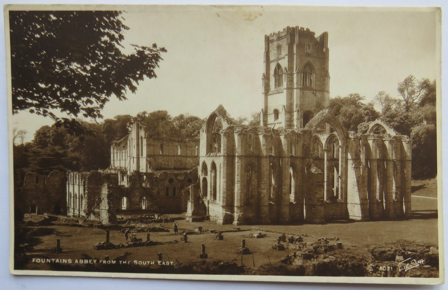 Vintage Postcard of Fountains Abbey from the South East