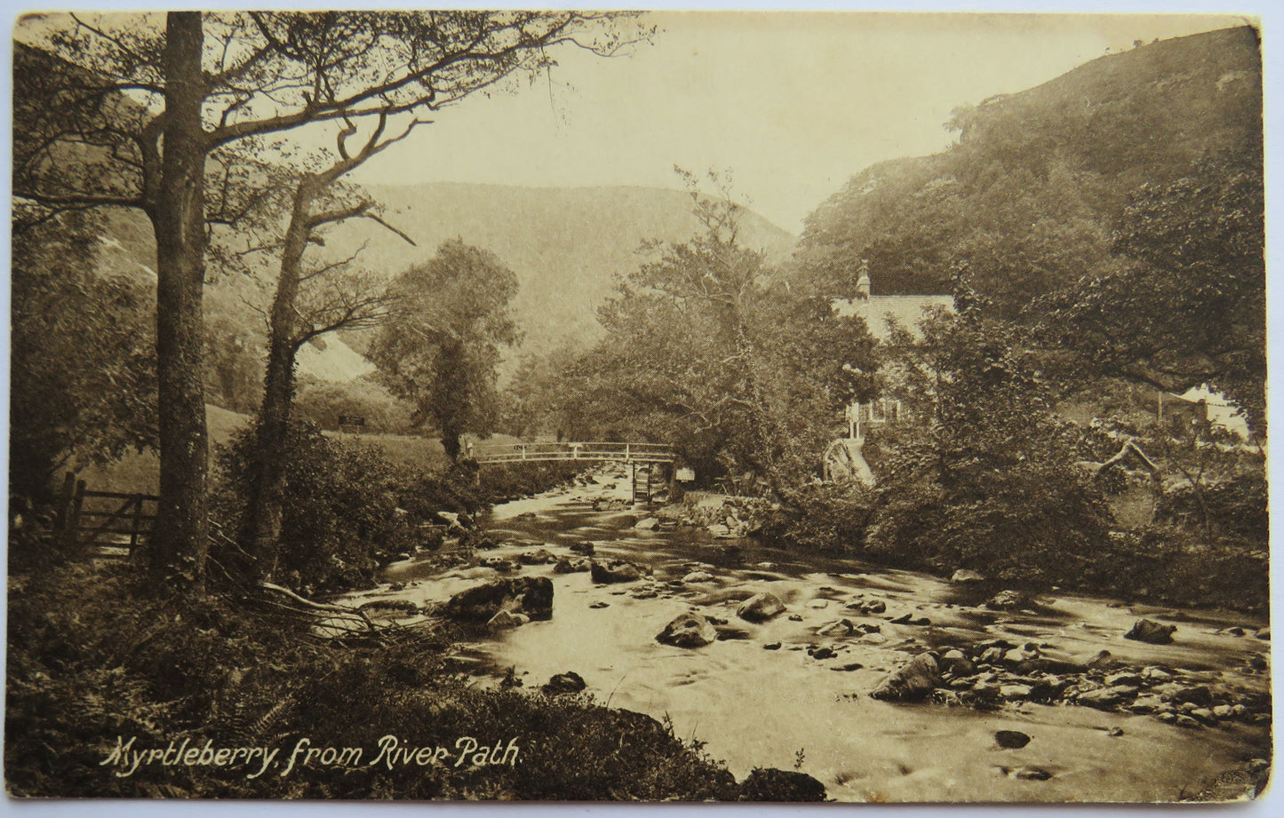 Vintage Postcard of Myrtleberry from River Path, 1924
