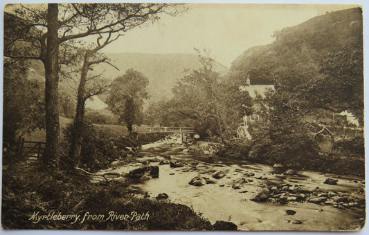 Vintage Postcard of Myrtleberry from River Path, 1924