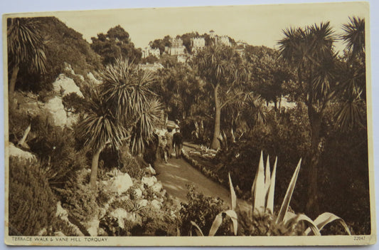 Vintage Postcard of Terrace Walk & Vane Hill, Torquay