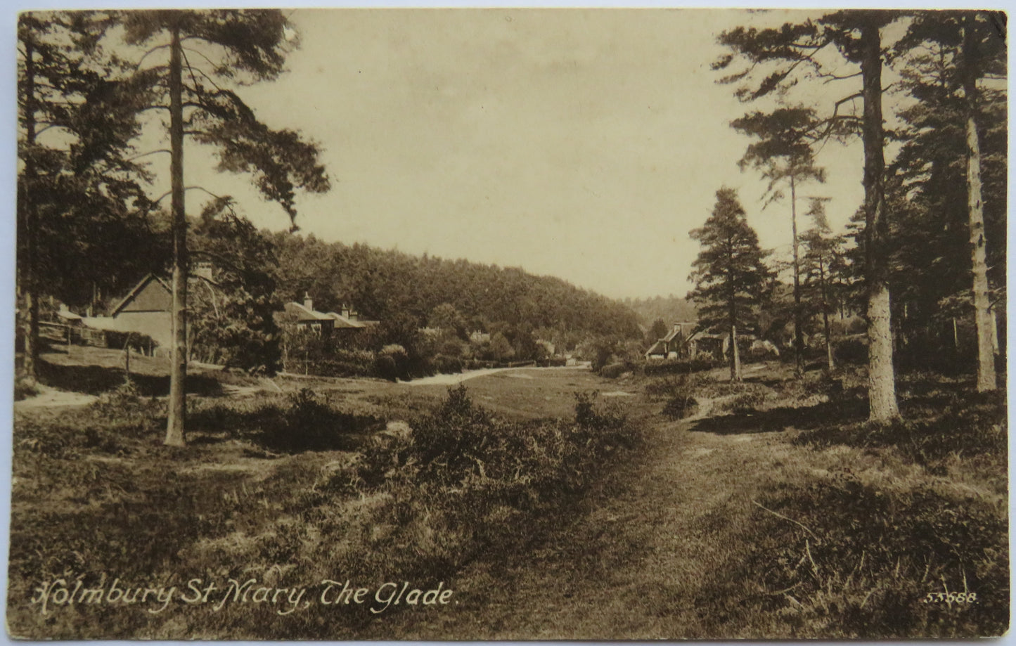 Vintage Postcard of Holmbury St. Mary, The Glade