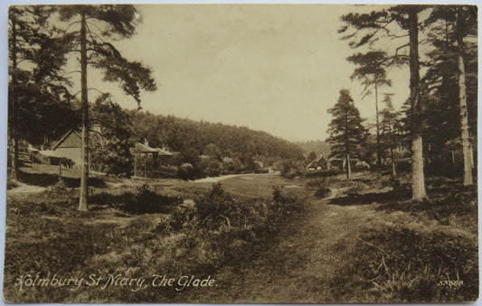 Vintage Postcard of Holmbury St. Mary, The Glade
