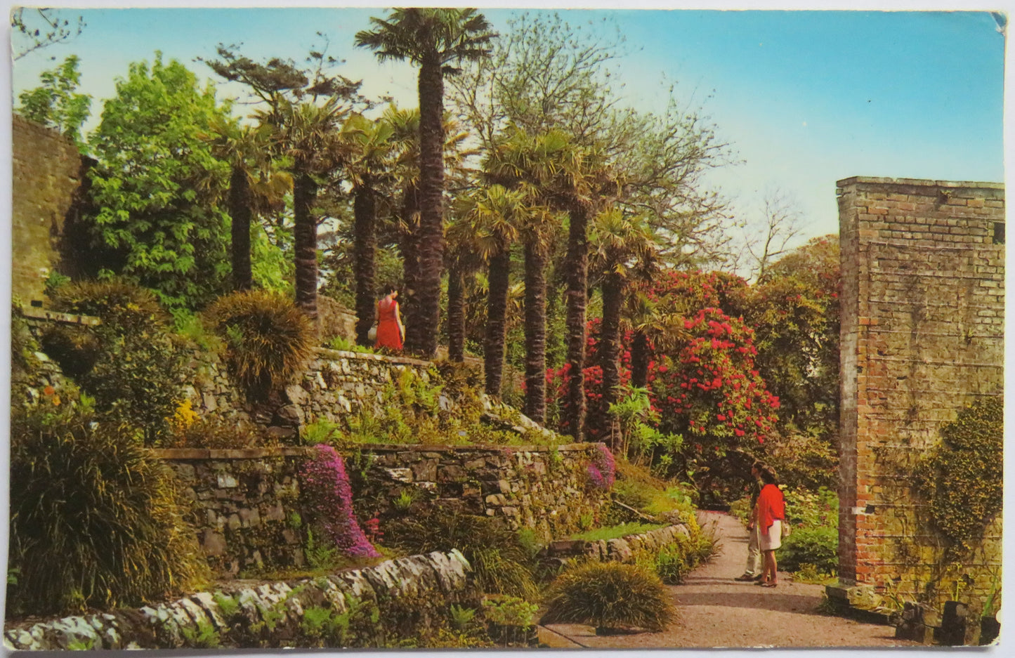 Vintage Postcard of Logan Gardens, Wigtown 1973