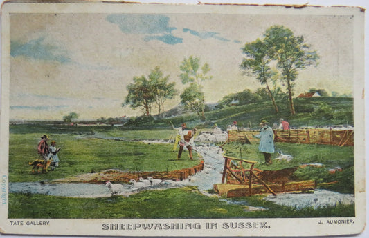 Vintage Postcard Of Sheepwashing In Sussex