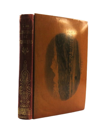 Antique Mauchline Transfer Ware "Kilmun" "The Language of Flowers" Book