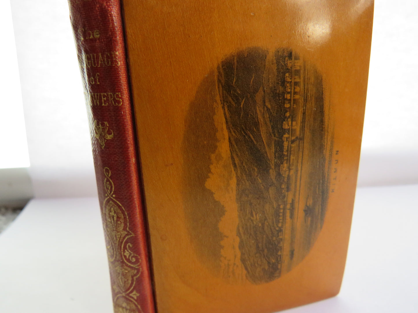 Antique Mauchline Transfer Ware "Kilmun" "The Language of Flowers" Book