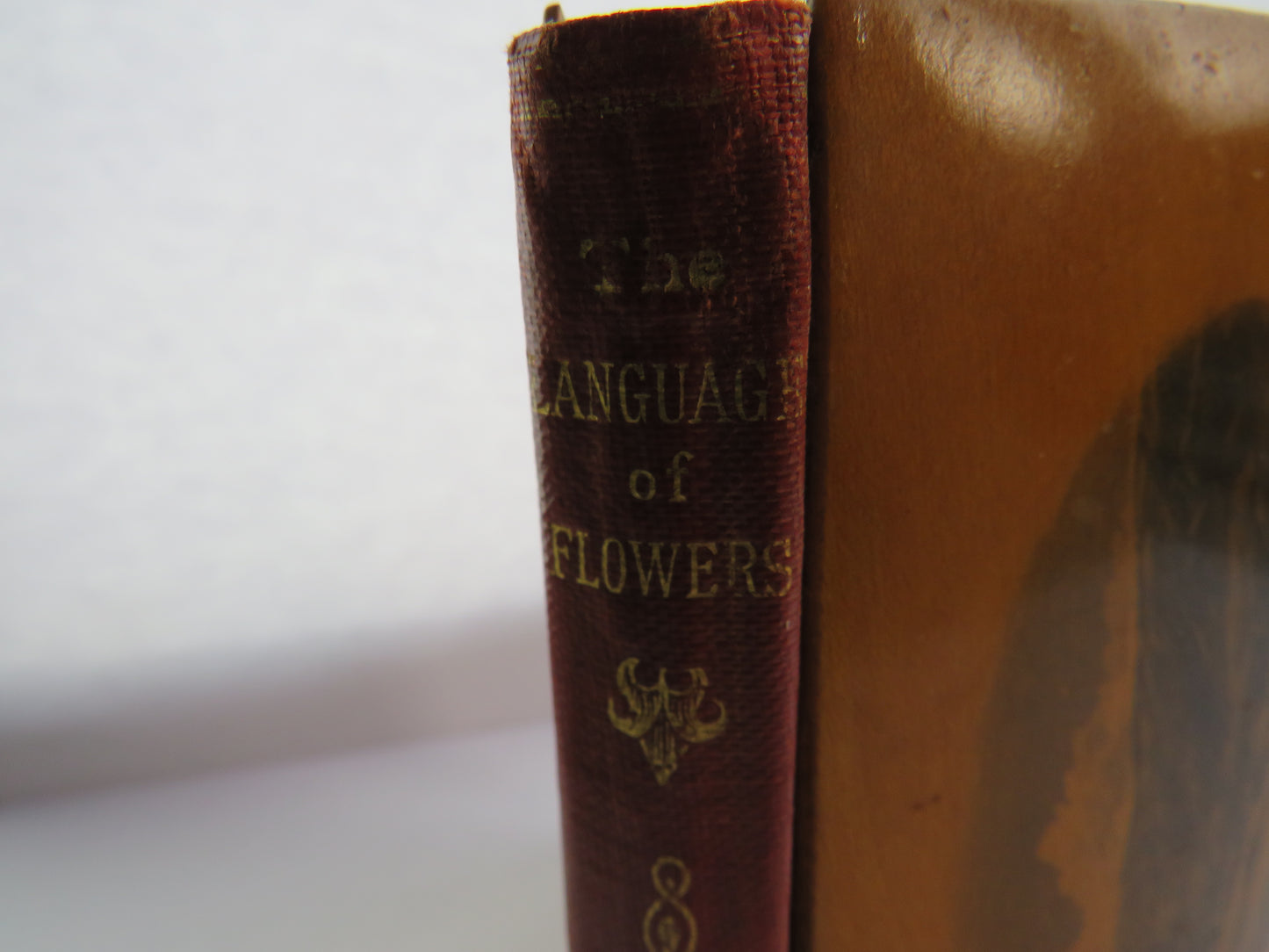Antique Mauchline Transfer Ware "Kilmun" "The Language of Flowers" Book