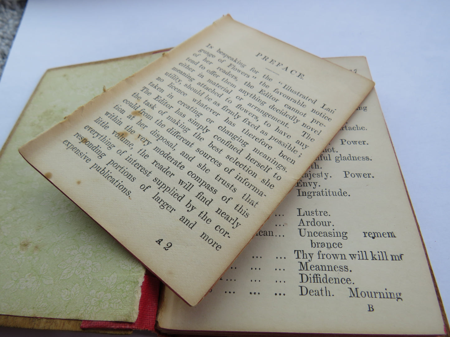 Antique Mauchline Transfer Ware "Kilmun" "The Language of Flowers" Book