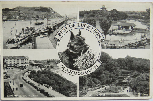 Vintage Postcard Of Best of Luck From Scarborough 1945
