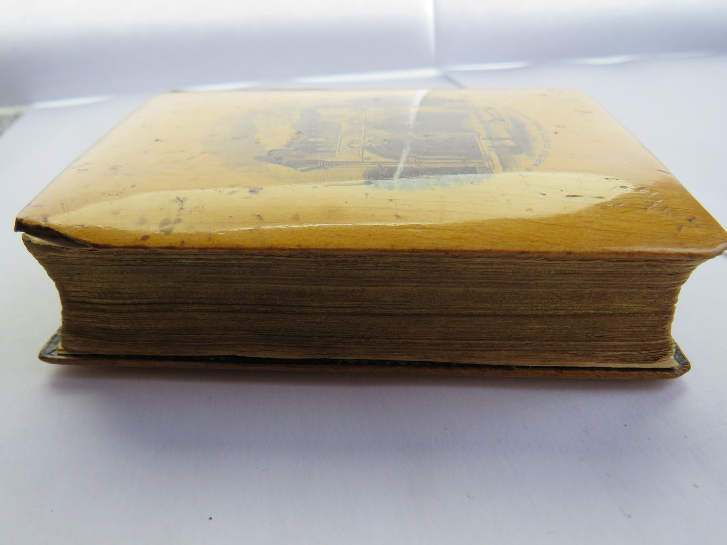 Antique Mauchline Transfer Ware Bible "New Testament" Abbotsford From The Tweed