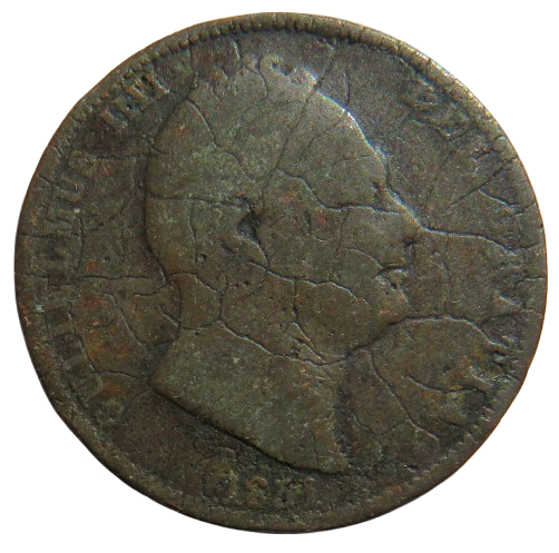 1831 King William IV Halfpenny Coin - Great Britain