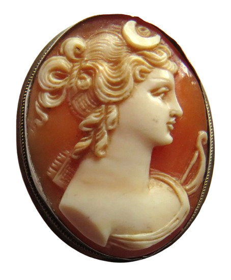 Vintage Ladies Silver Cameo Brooch
