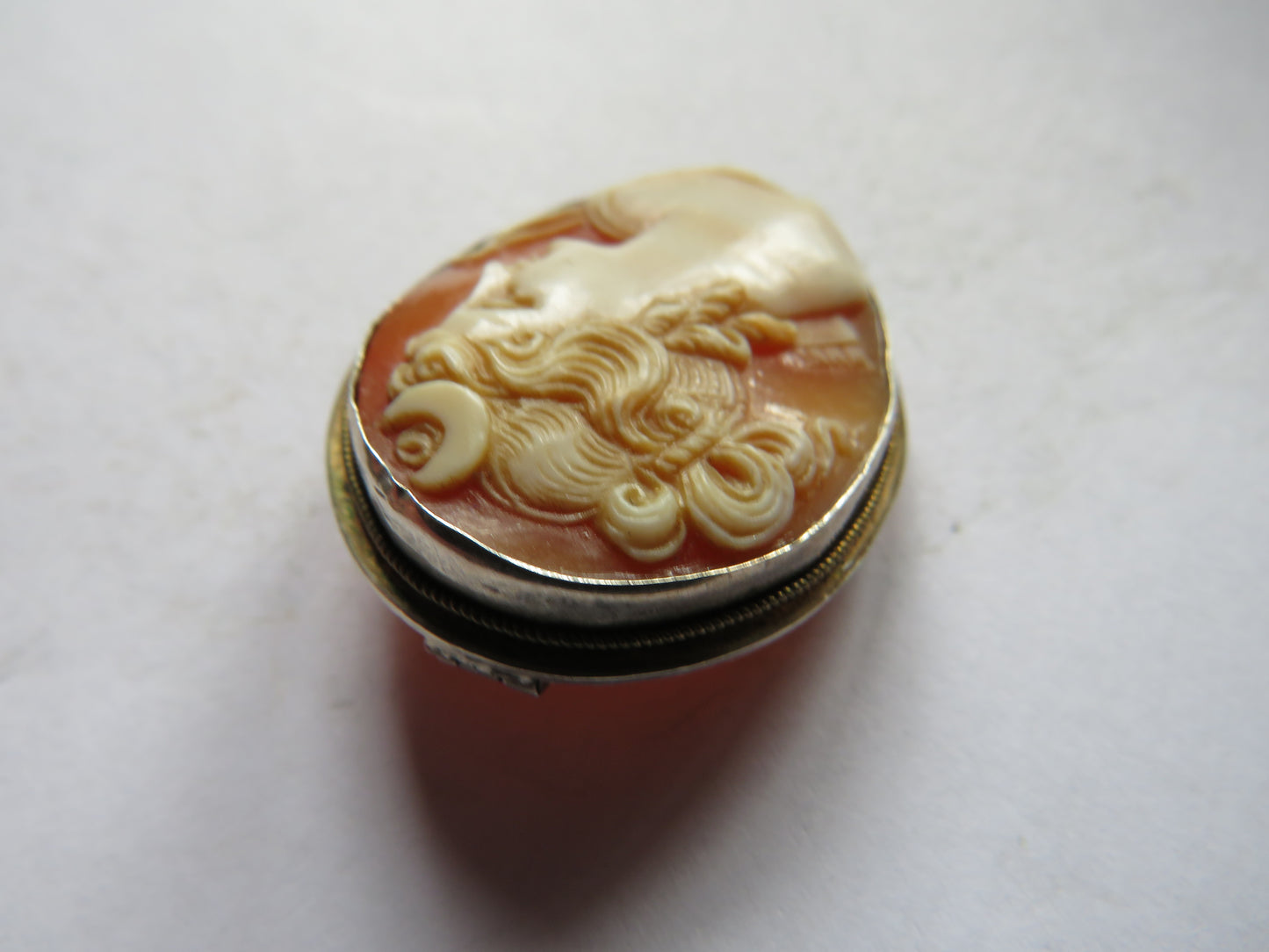 Vintage Ladies Silver Cameo Brooch