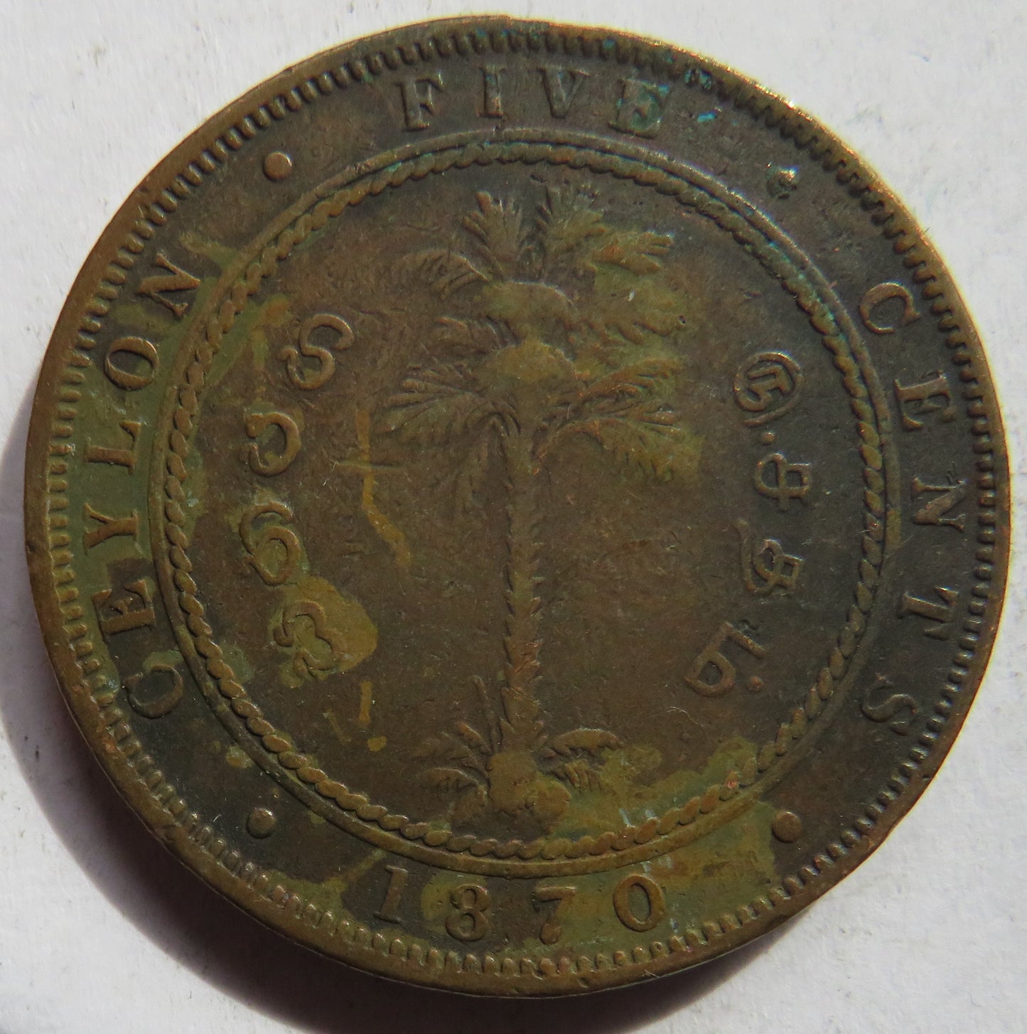 1870 Queen Victoria Ceylon 5 Cents Coin